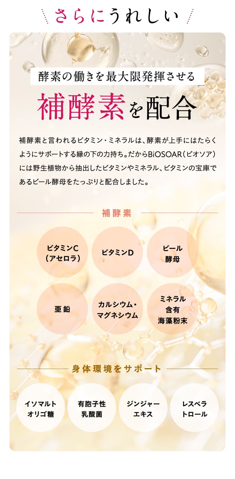 補酵素を配合