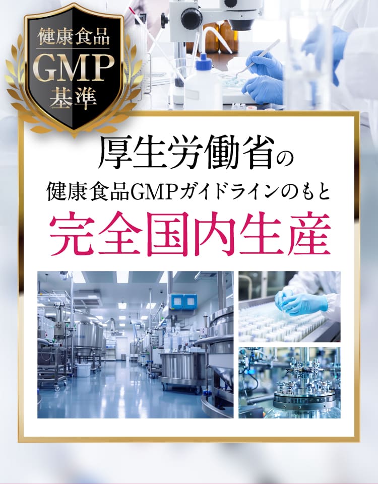 完全国内生産
