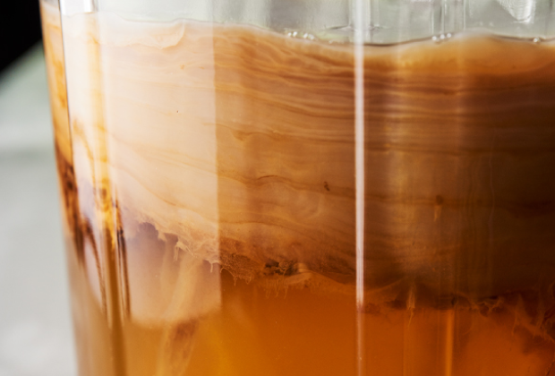 酢酸菌による発酵飲料