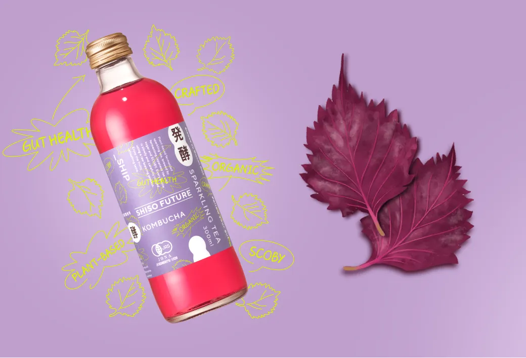 SHISO FUTURE | _SHIP KOMBUCHA（国産・オーガニック・無添加の発酵