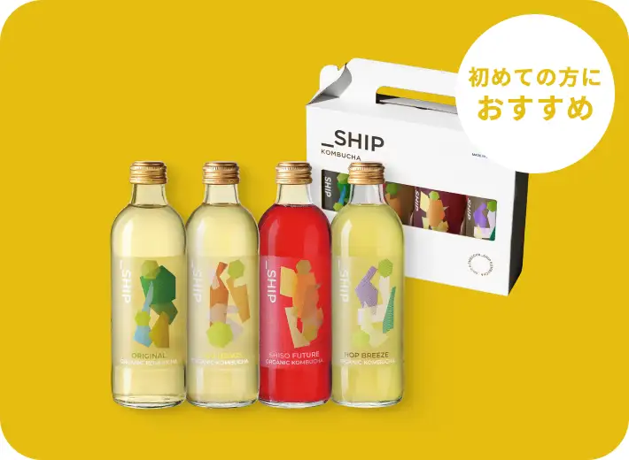 4本セット（2回目以降12本）