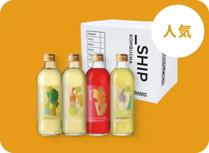 4本セット（2回目以降12本）
