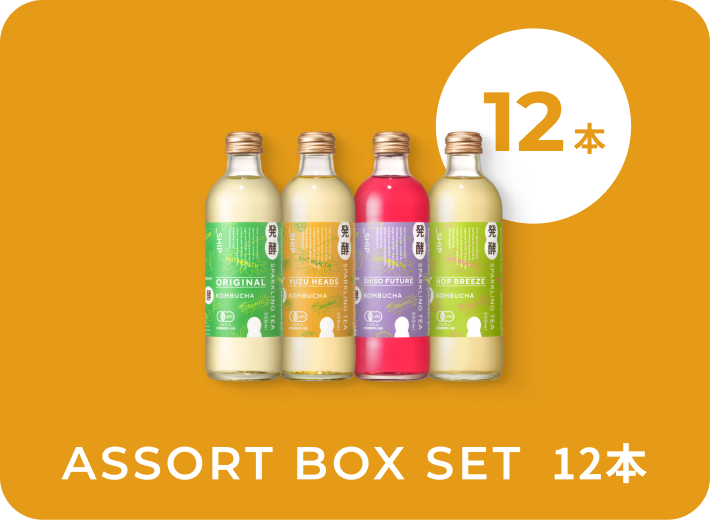 4本セット（2回目以降12本）