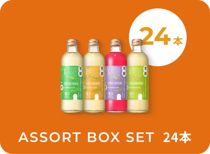 24本セット