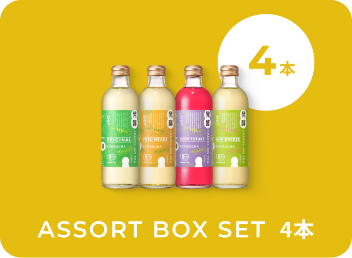 4本セット（2回目以降12本）