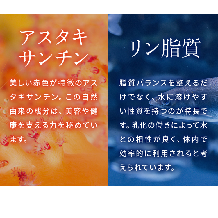 オメガ３クリルＳ(90粒)