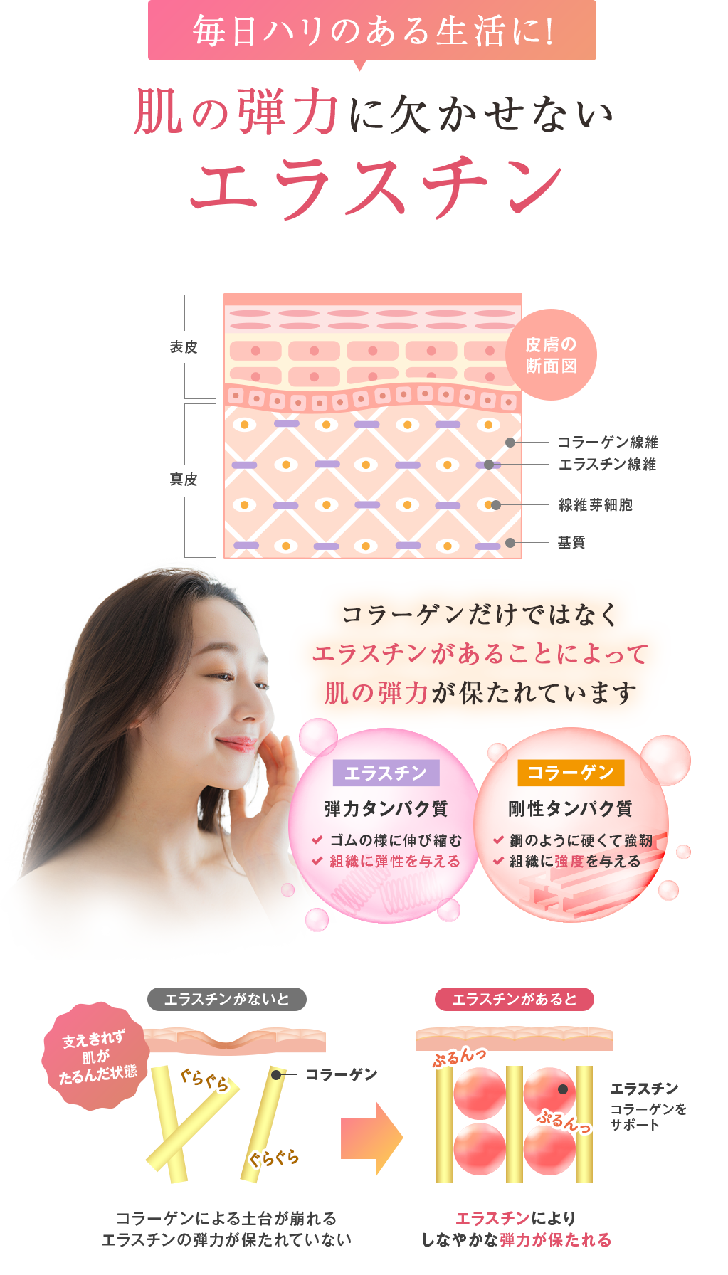 毎日ハリのある生活に！肌の弾力に欠かせないエラスチン