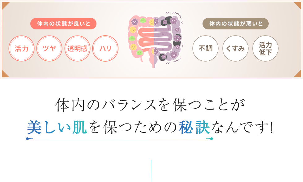 腸内のバランスを保つことが美しい肌を保つための秘訣なんです！