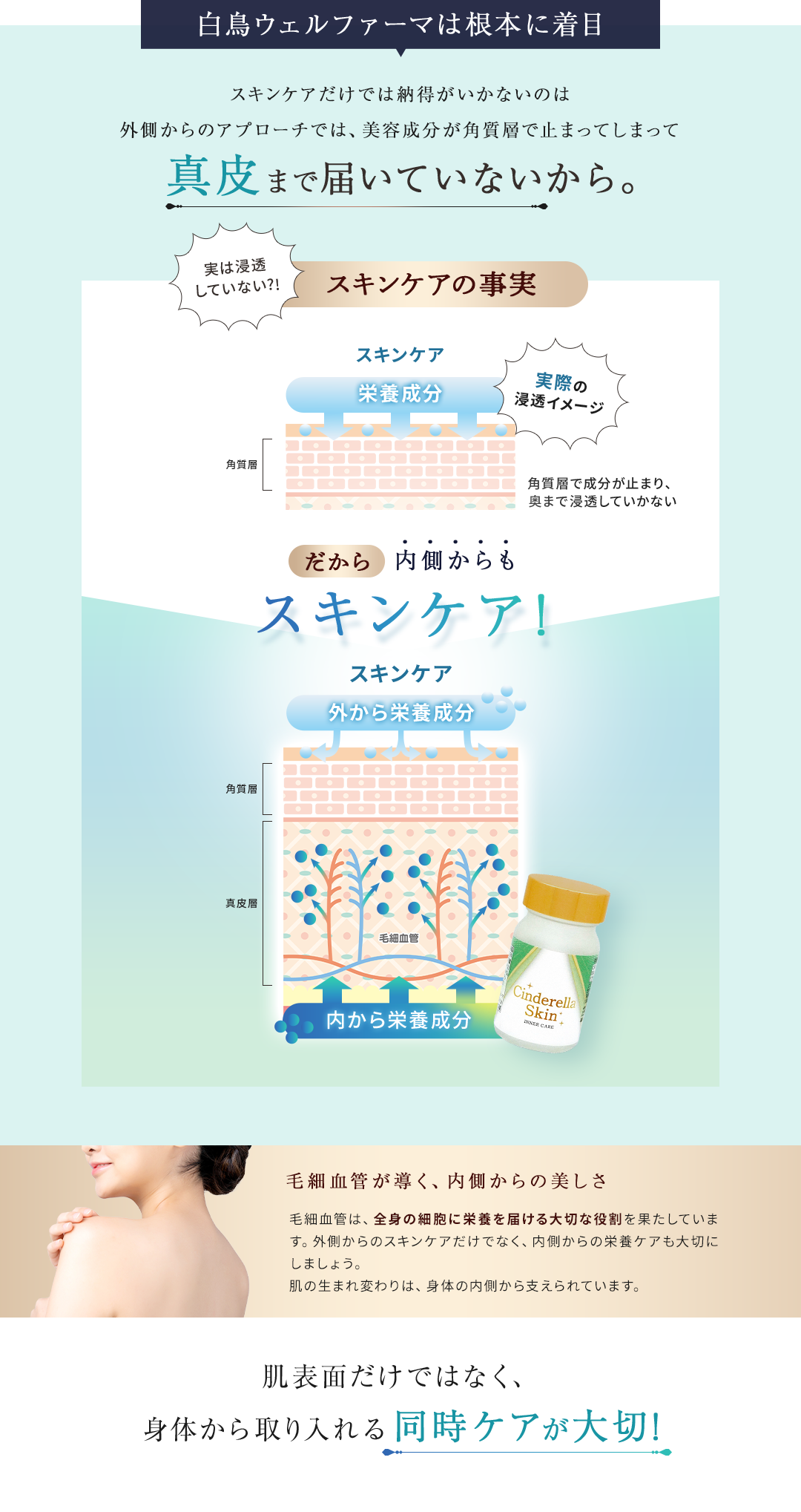 白鳥ウェルファーマは根本に注目