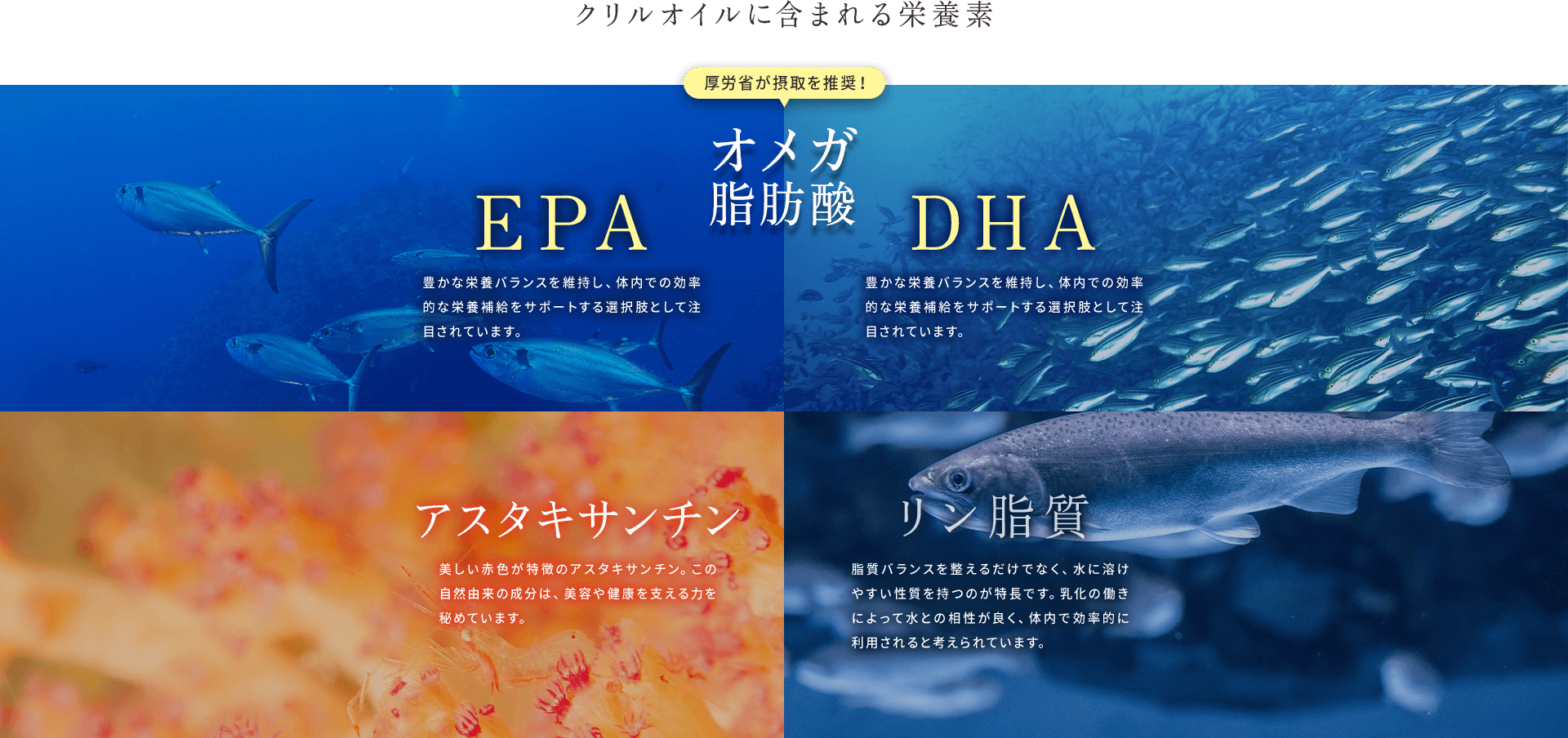 クリルオイルに含まれる栄養素