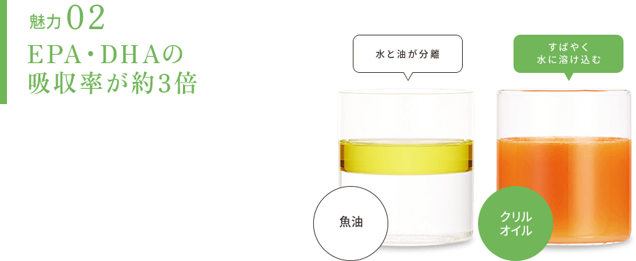 魅力2 EPA・DHAの吸収率が約3倍