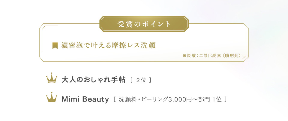 受賞のポイント