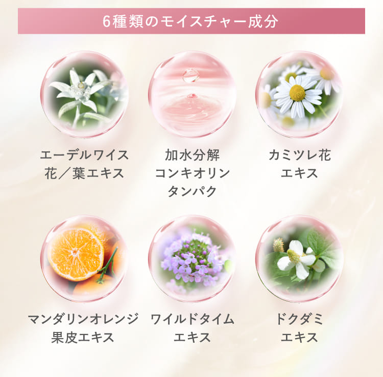 6種類のモイスチャー成分