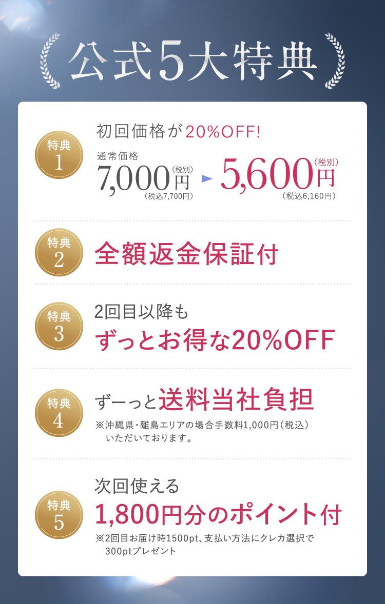 公式5大特典