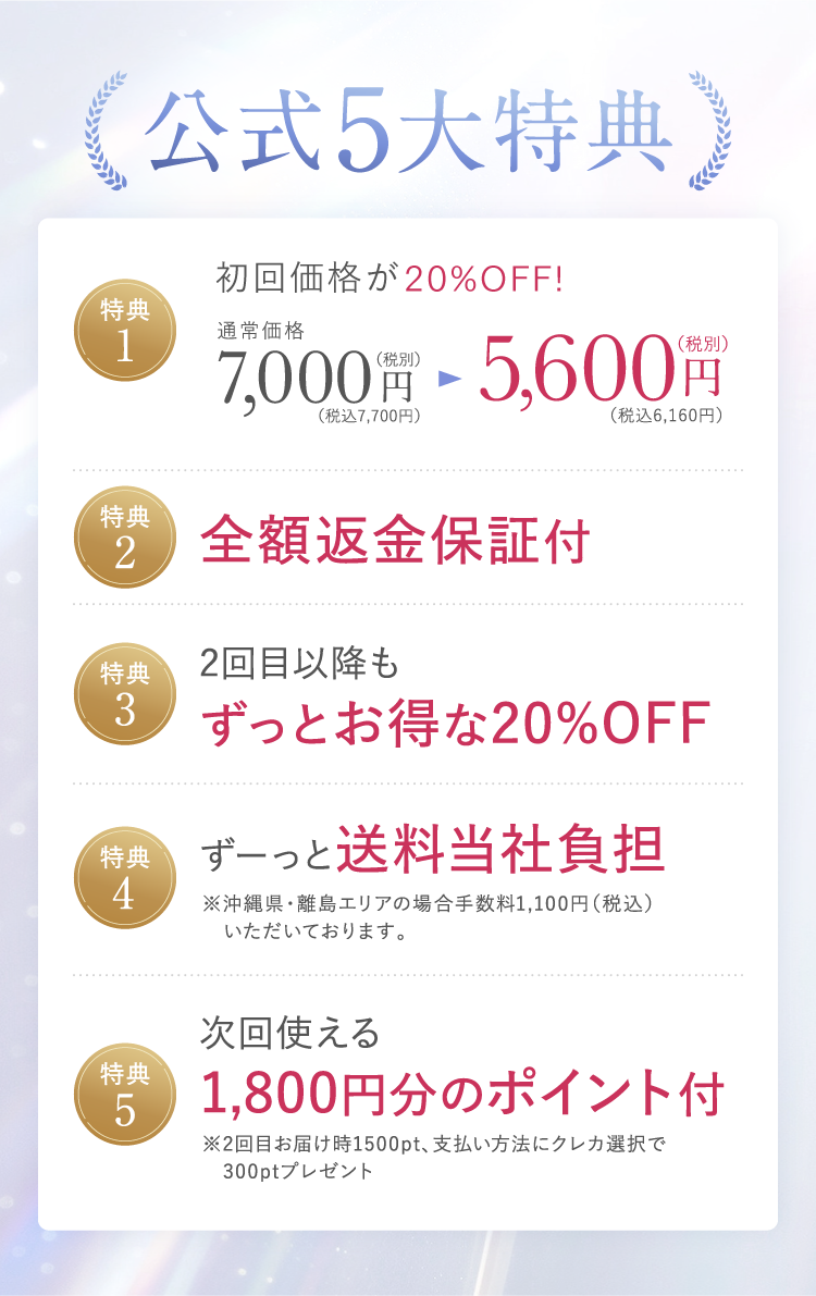 公式5大特典