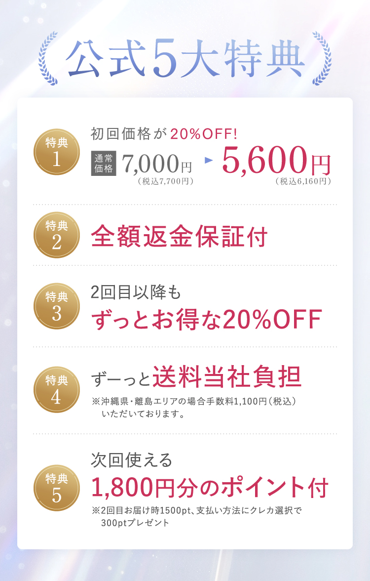 公式5大特典