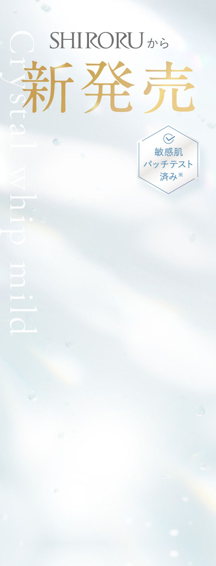 新発売