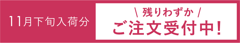 11月下旬入荷分＼残りわずか／ご注文受付中！