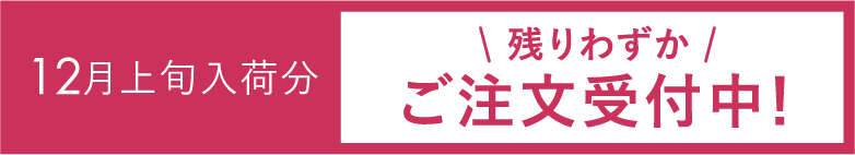 12月上旬入荷分＼残りわずか／ご注文受付中！