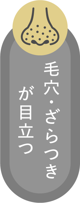 毛穴・ざらつきが目立つ