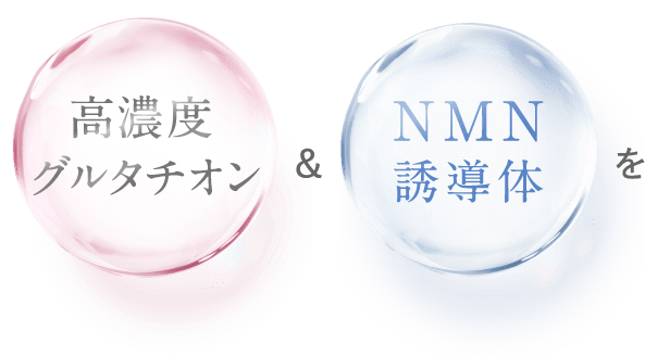 高濃度グルタチオン＆NMN誘導体を。