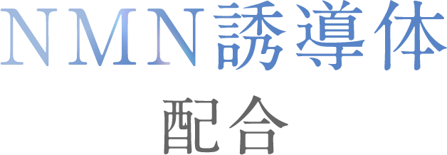 NMN誘導体配合。