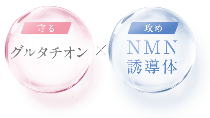守る、グルタチオン。攻め、NMN誘導体。