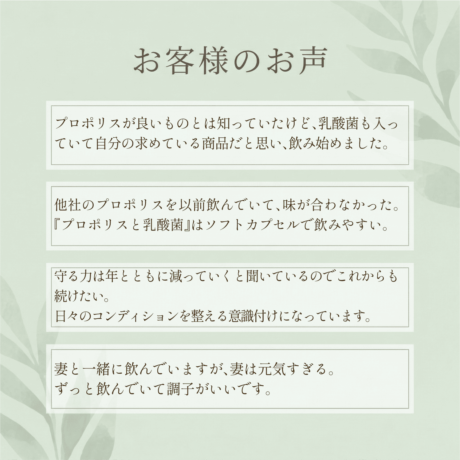 【定期】プロポリスと乳酸菌3袋おまとめコース