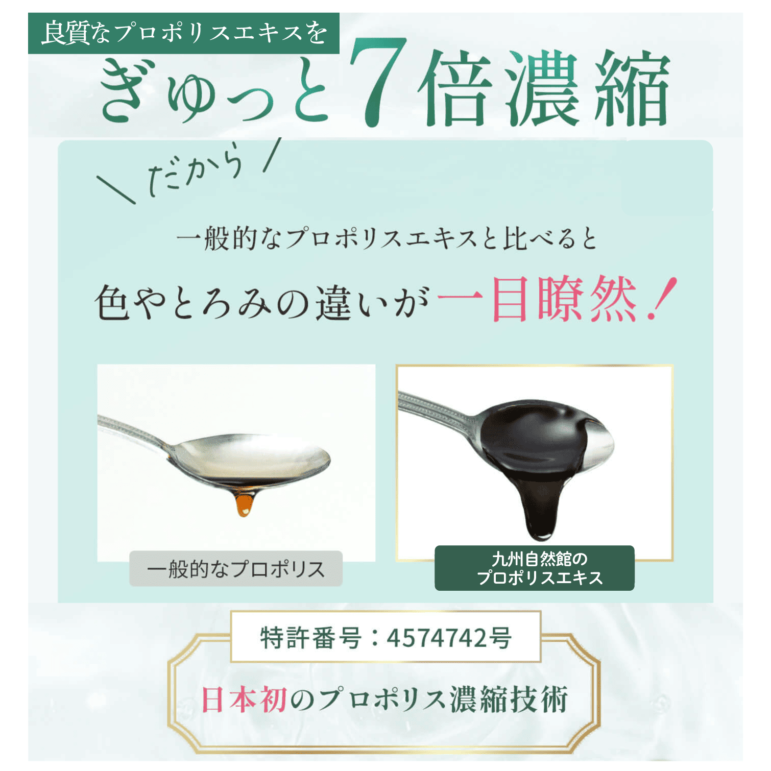 プロポリスと乳酸菌