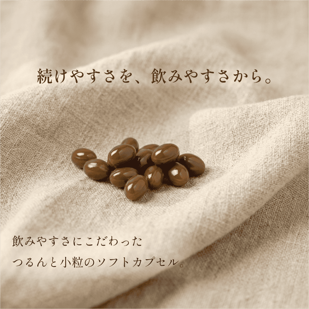 【定期】プロポリスと乳酸菌毎月コース
