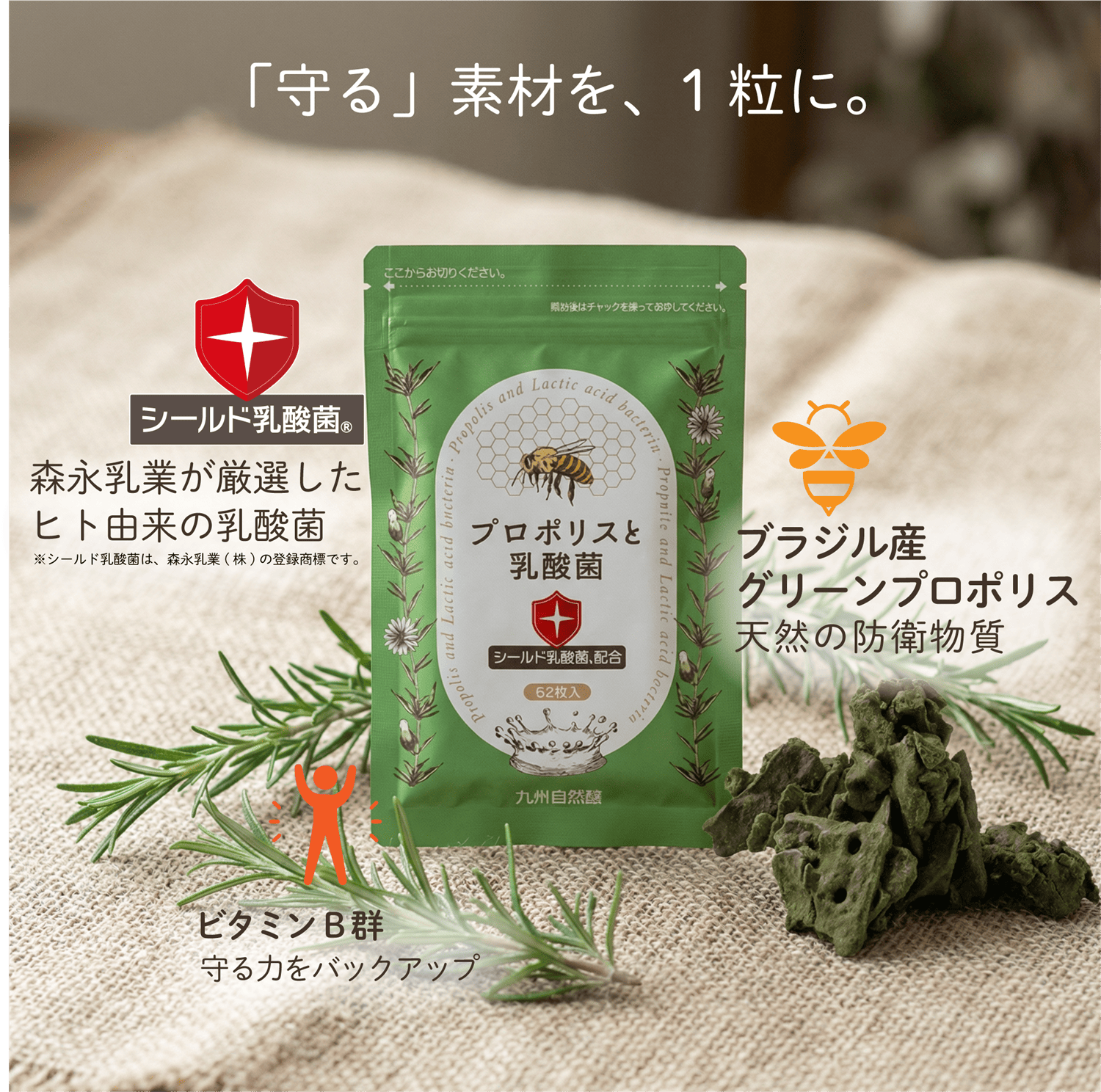 プロポリスと乳酸菌