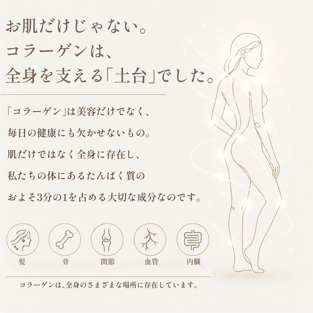 【定期】ごほうびコラーゲン毎月コース