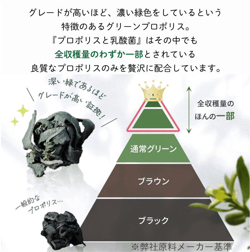 【定期】プロポリスと乳酸菌毎月コース
