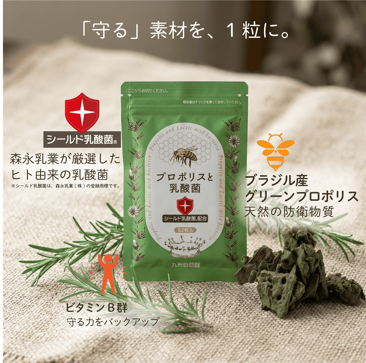 プロポリスと乳酸菌