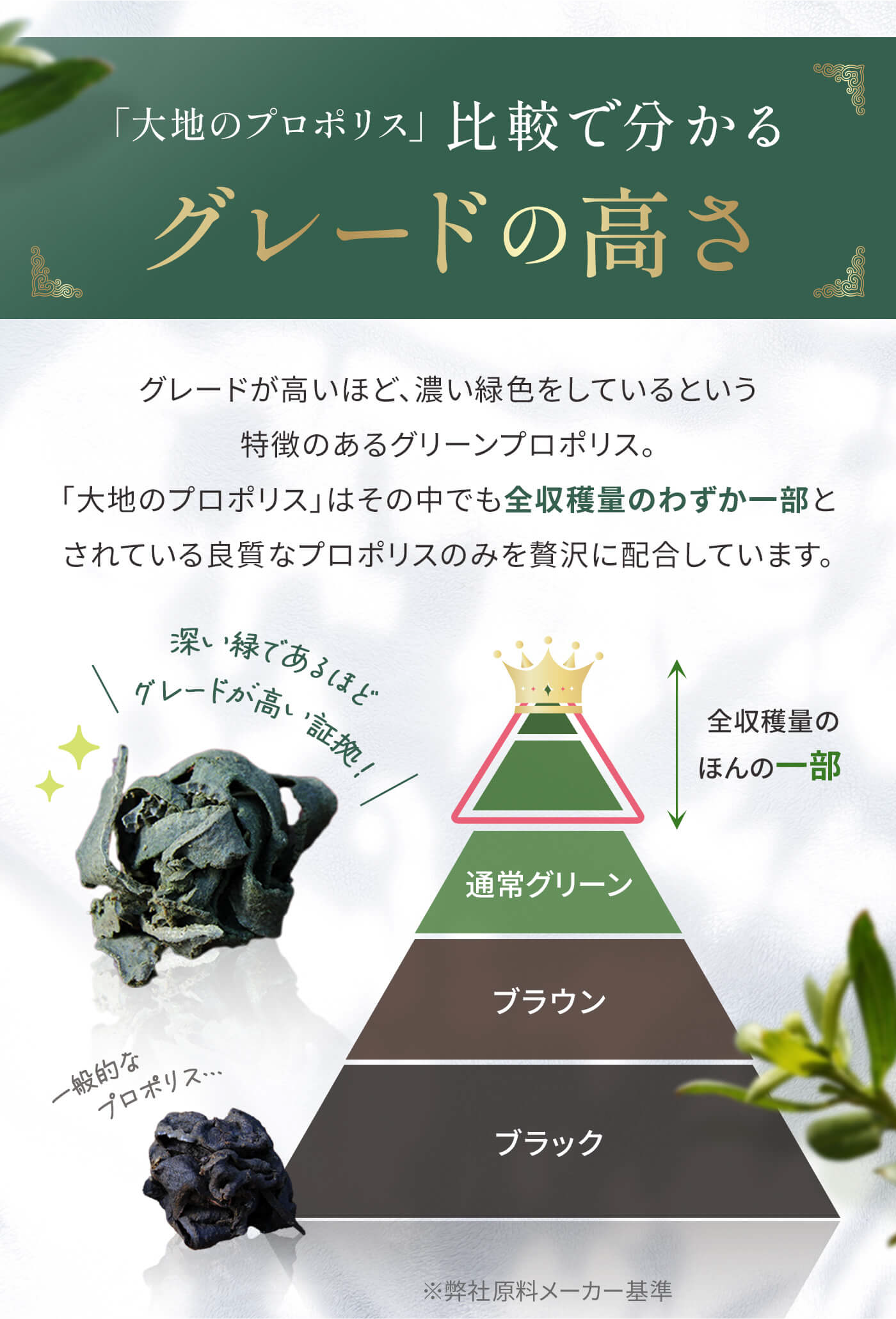 【定期】大地のプロポリス毎月コース