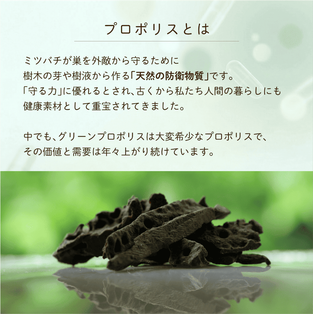 【定期】プロポリスと乳酸菌毎月コース