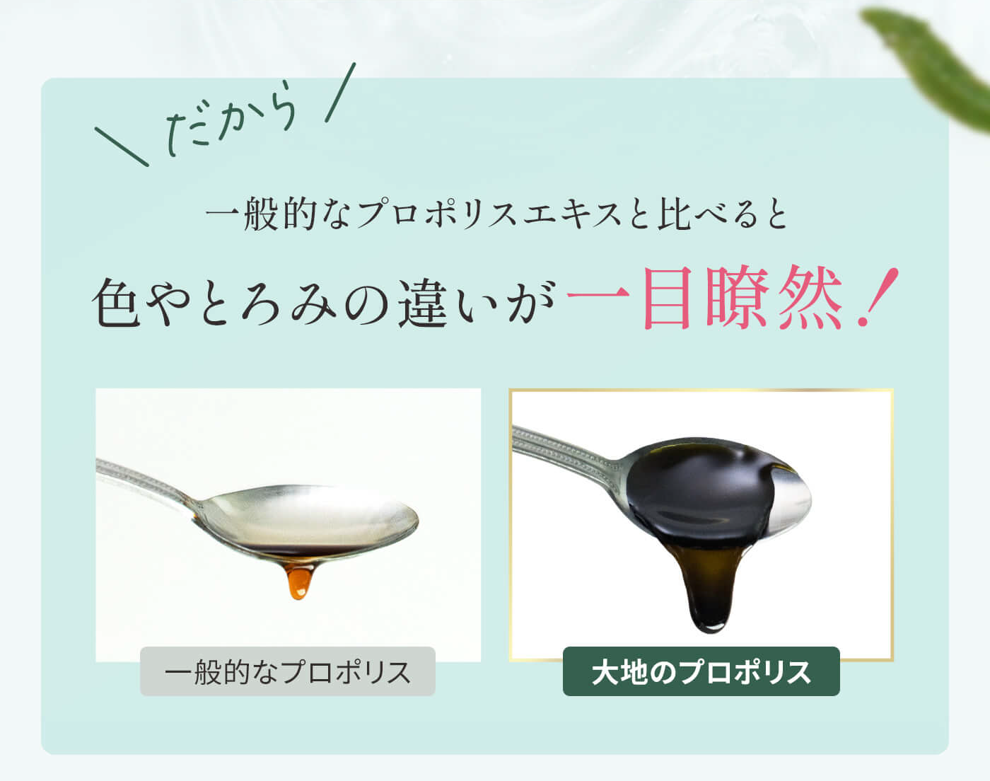 【定期】大地のプロポリス3袋おまとめコース