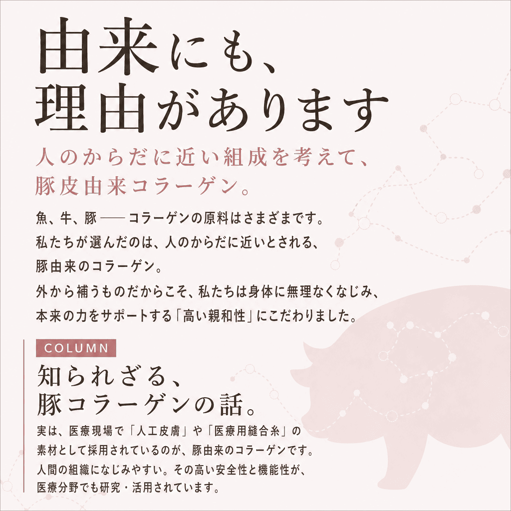 【定期】ごほうびコラーゲン毎月コース