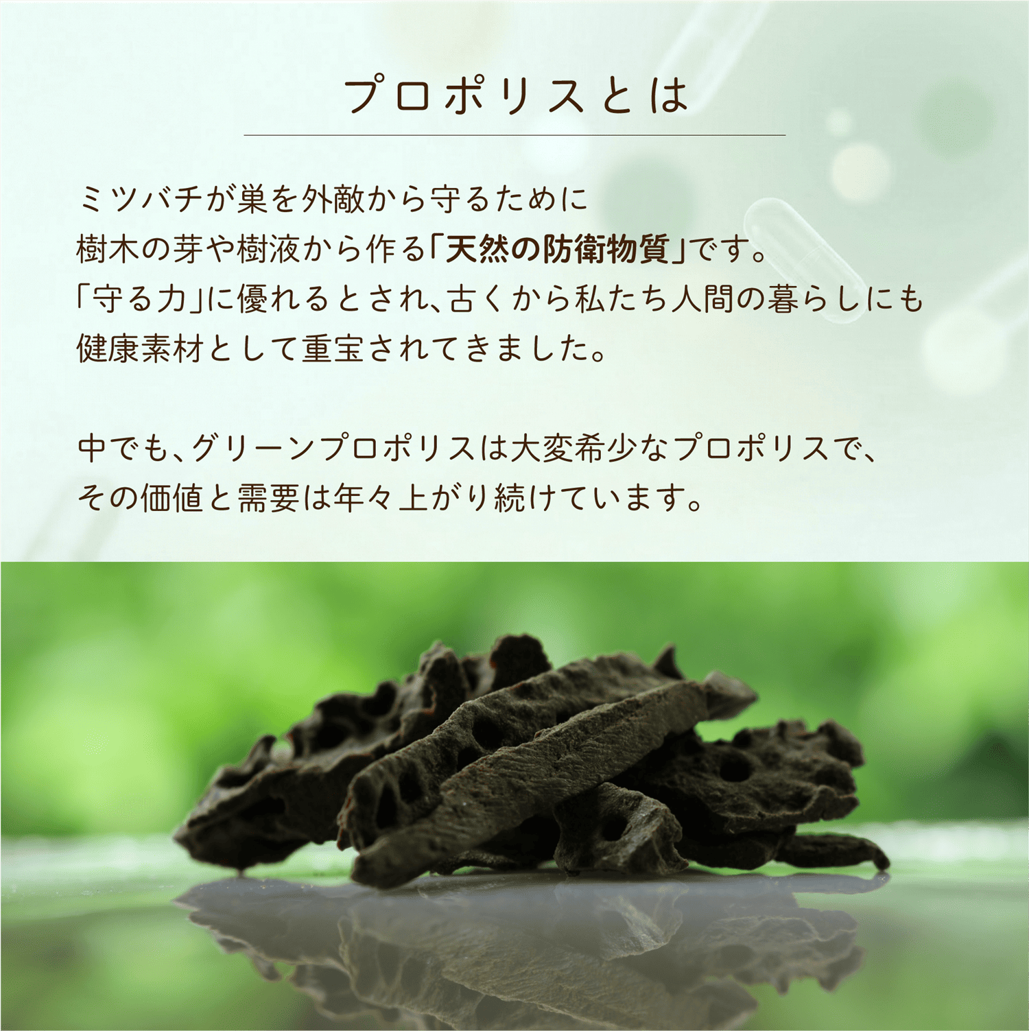 【定期】プロポリスと乳酸菌3袋おまとめコース