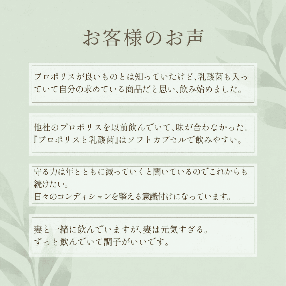 【定期】プロポリスと乳酸菌毎月コース