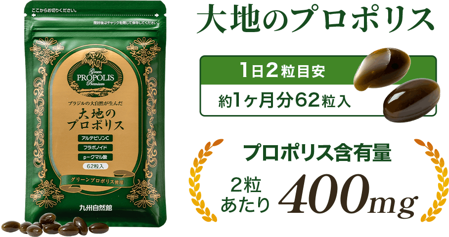 大地のプロポリス 1日2粒目安 約1ヶ月分62粒入 プロポリス含有量 2粒あたり 400mg
