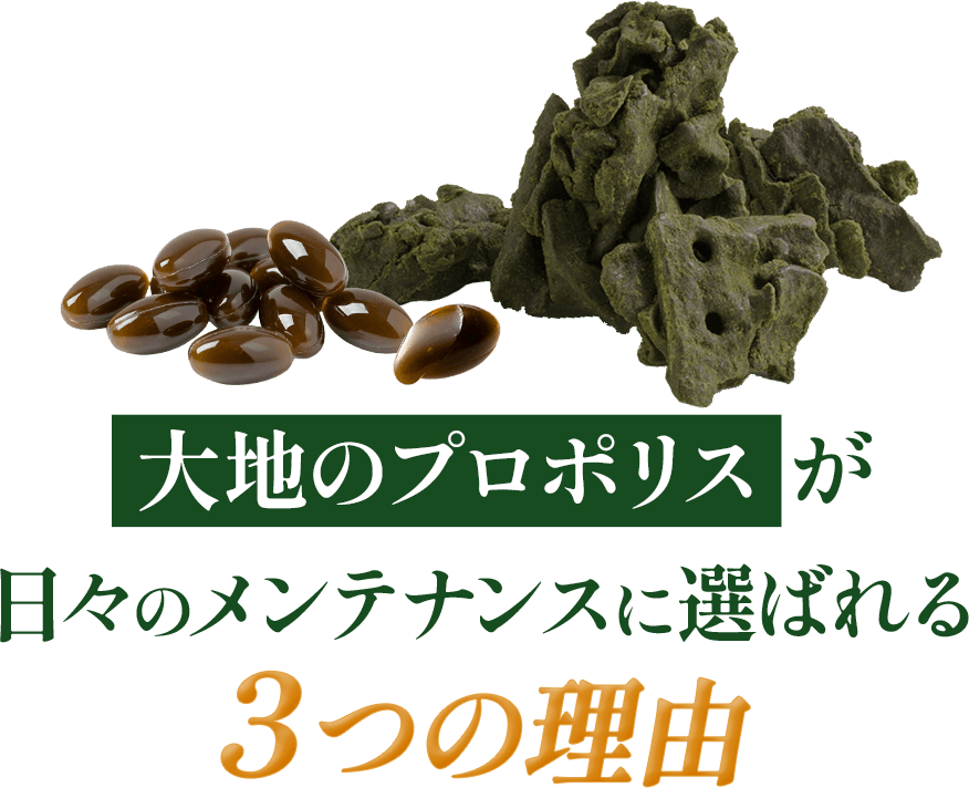 大地のプロポリスが日々のメンテナンスに選ばれる3つの理由