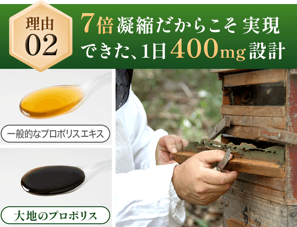 理由2 7倍凝縮だからこそ実現できた、1日400mg設計