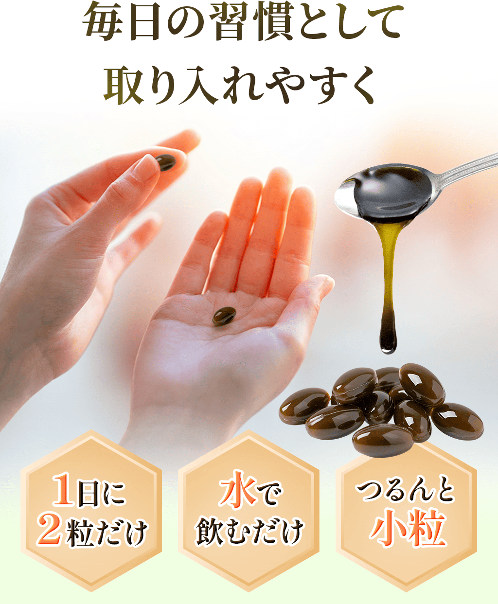 毎日の習慣として取り入れやすく 1日に2粒だけ 水で飲むだけ つるんと小粒
