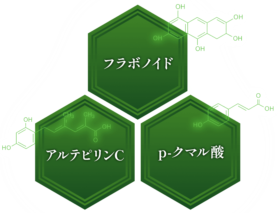 フラボノイド アルテピリンC p-クマル酸