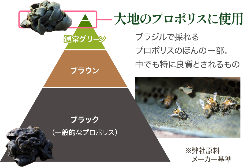 プロポリスは量だけでなく質も その考え方を大切にし、原料選定の段階から妥協しないものづくりを行っています。