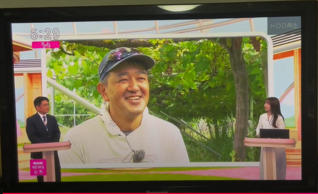 NHK山形「やままる」”