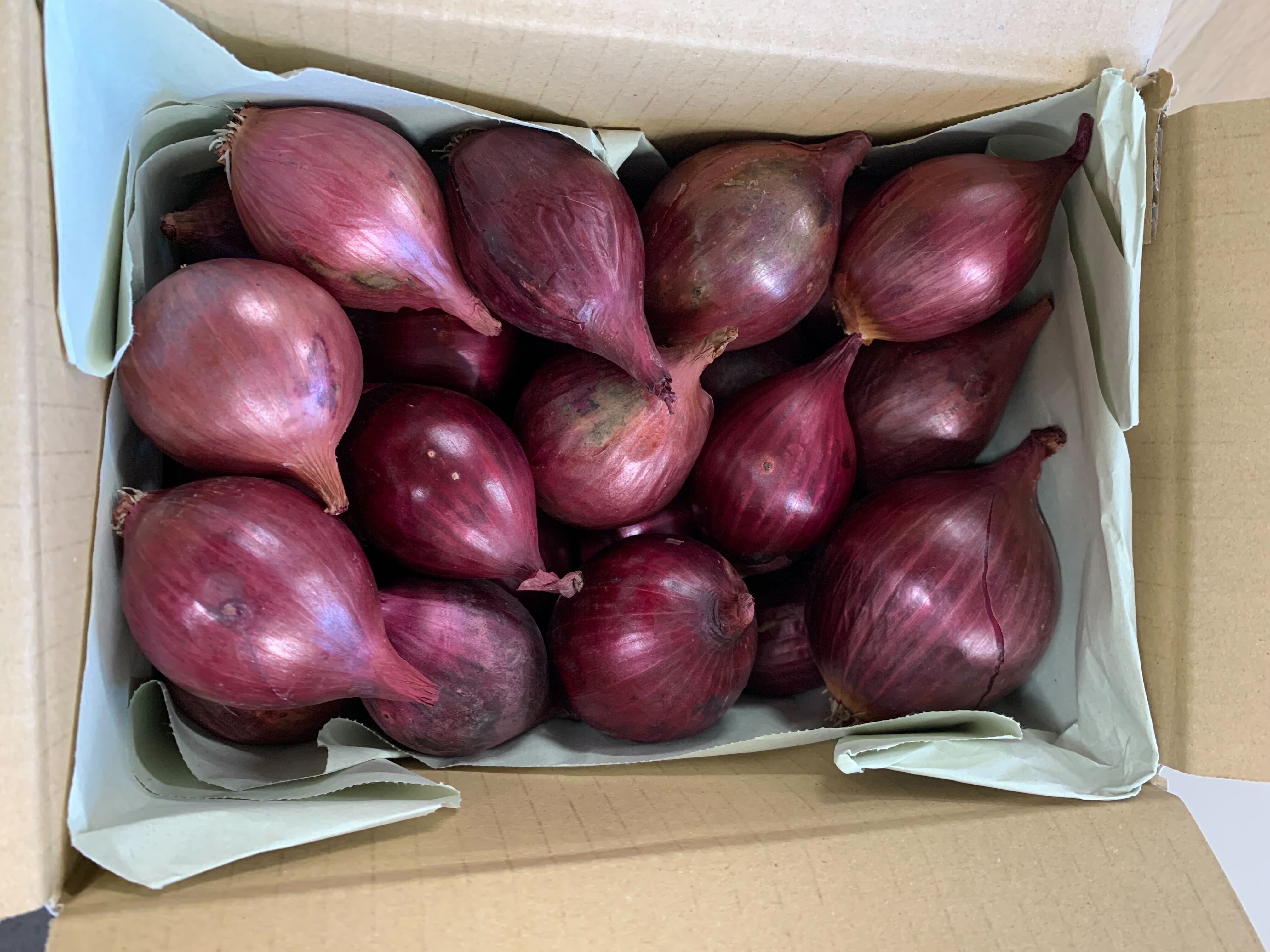 赤玉ねぎ　自然栽培の小玉サイズ　青森県産　2.5kg/箱