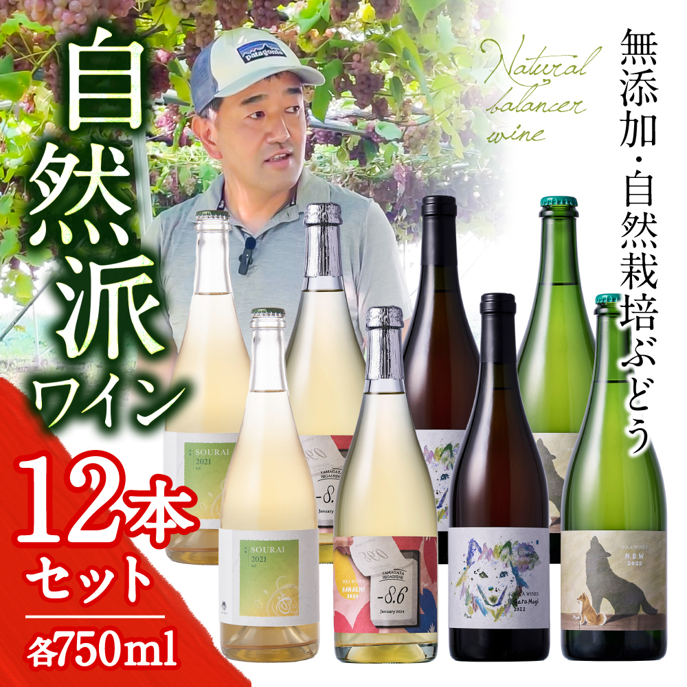 自然栽培ナチュラルワイン12本ケースセット｜代表4銘柄×各3本〈送料無料〉