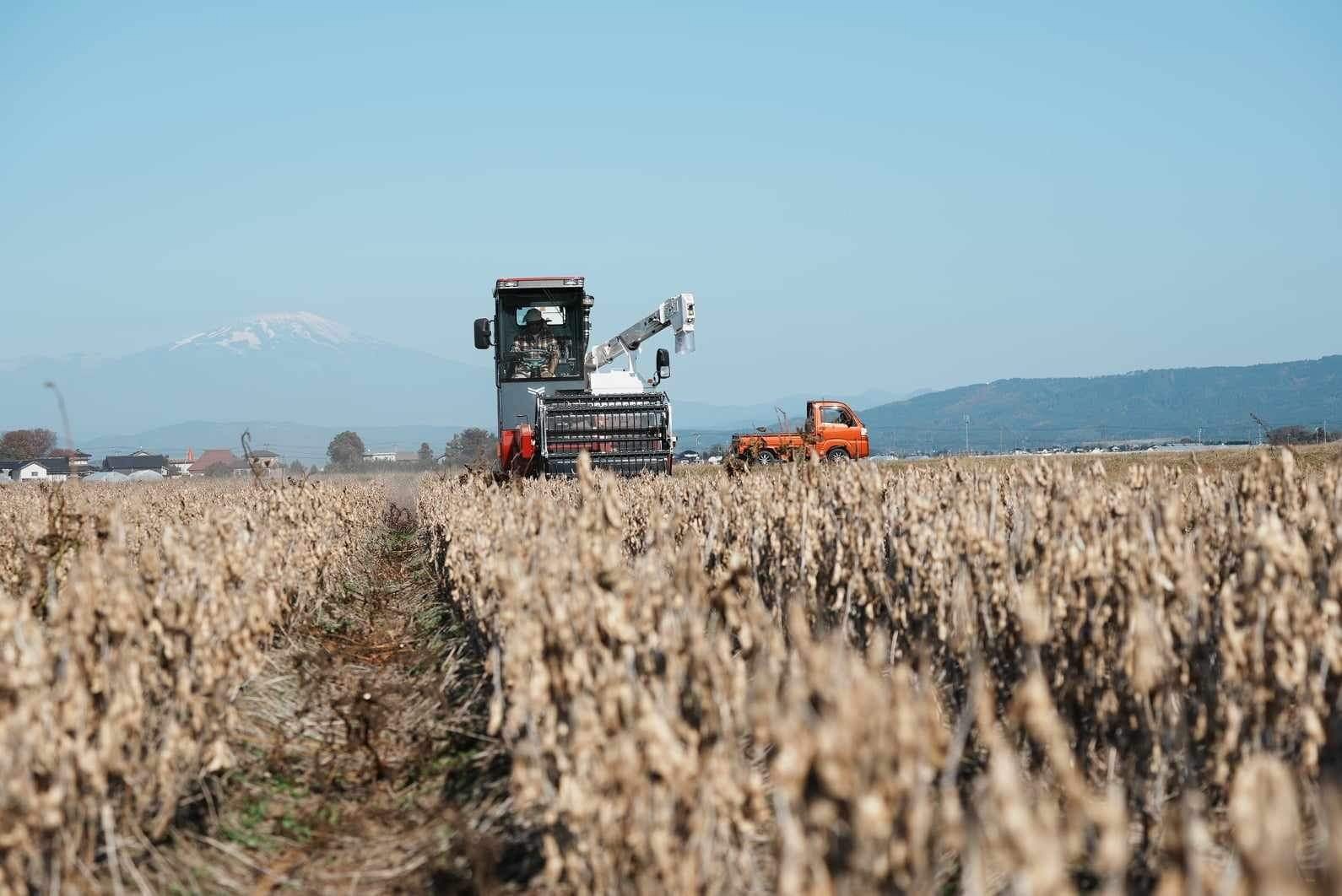 自然栽培と有機栽培のイメージ